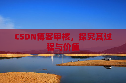 CSDN博客审核，探究其过程与价值